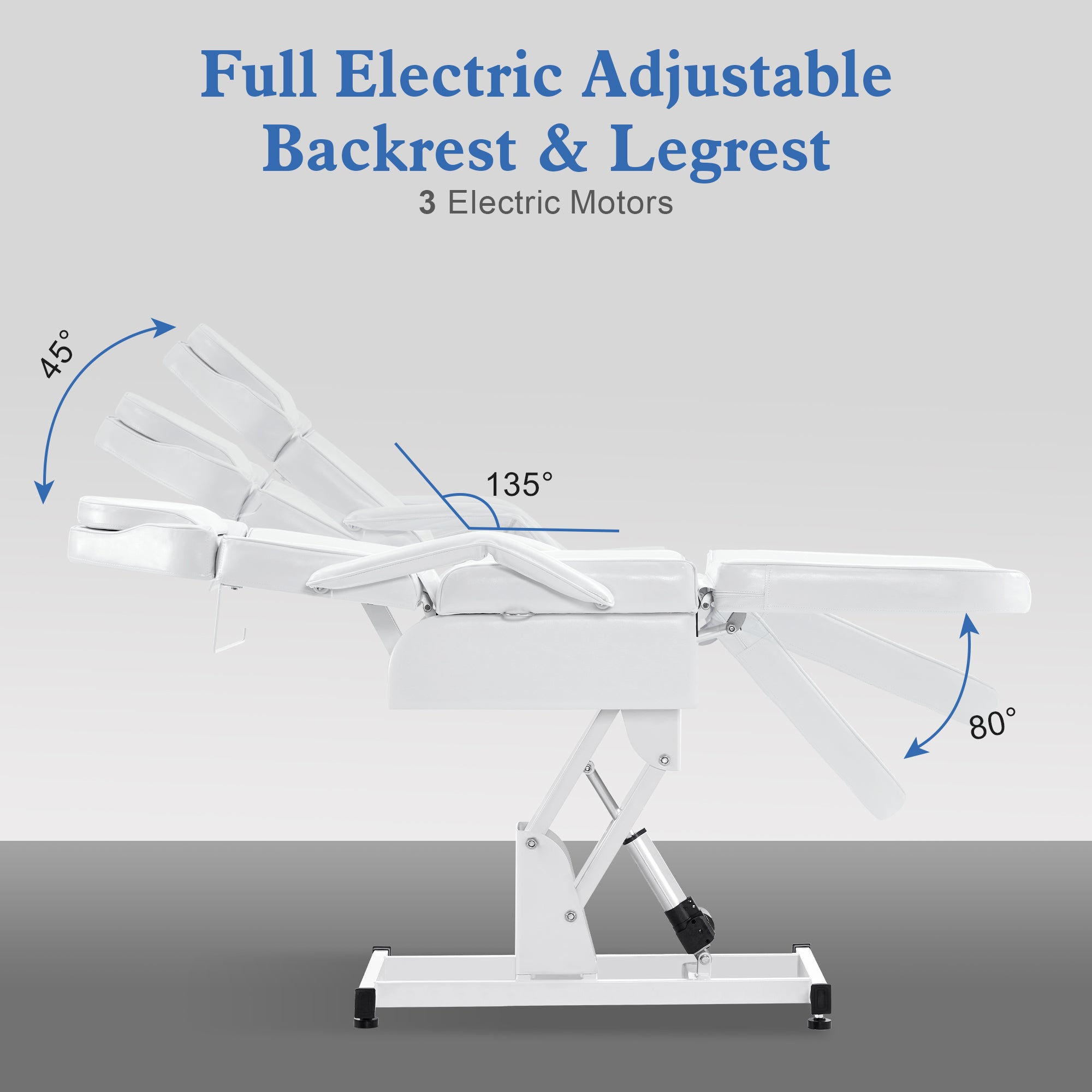 Electric Beauty Bed with 3 Motors, Tattoo Facial Bed for Esthetician , Massage Table for Client 2751