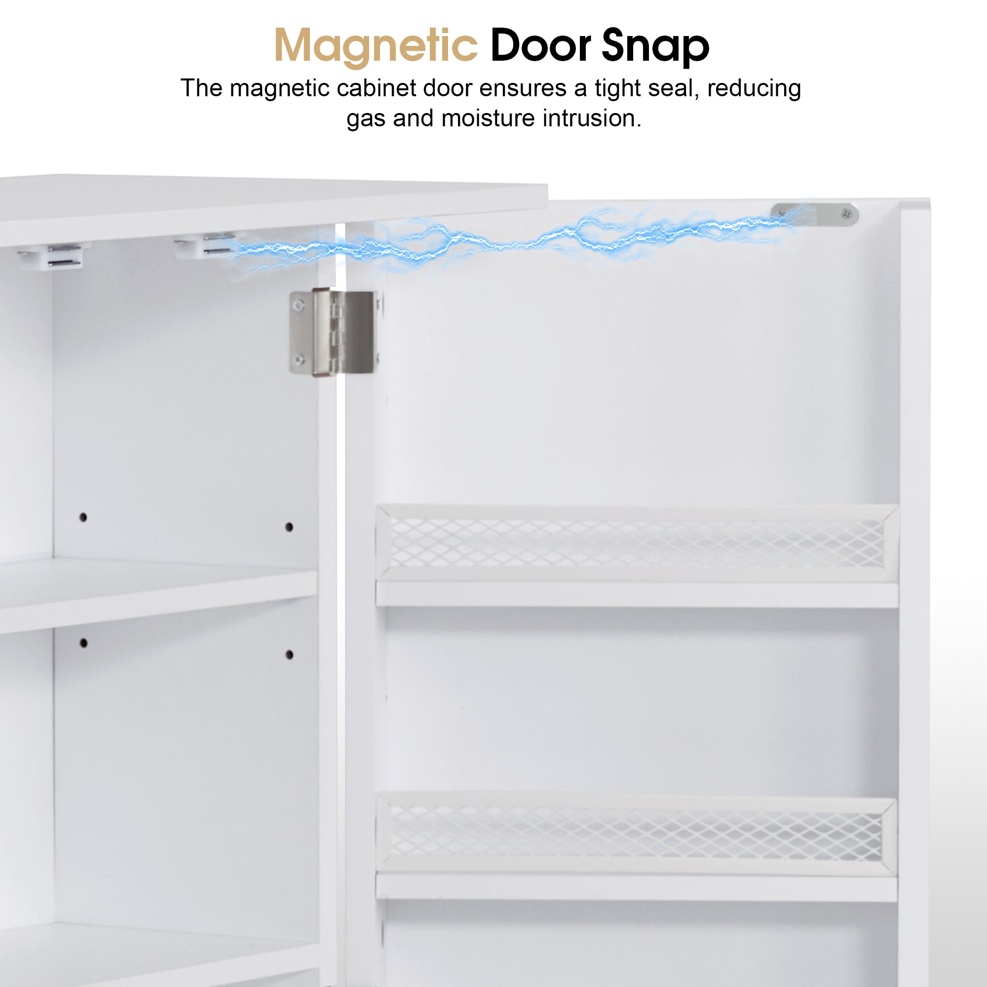 Multi-Functional Storage Cabinet with Adjustable Shelves, Beauty Salon Organizer 2024