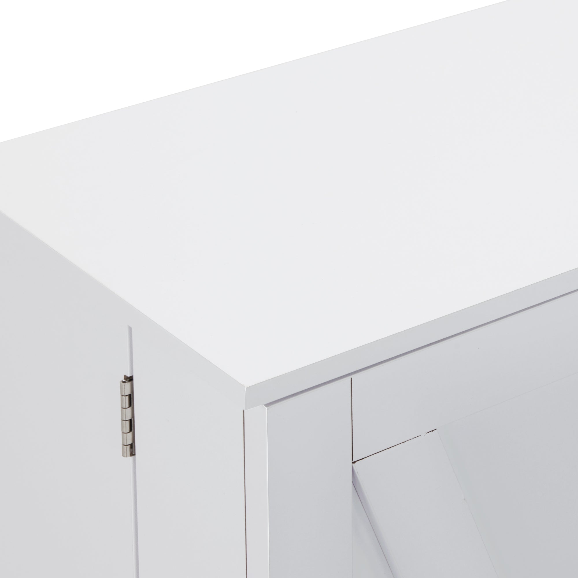 Multi-Functional Storage Cabinet with Adjustable Shelves, Beauty Salon Organizer 2024