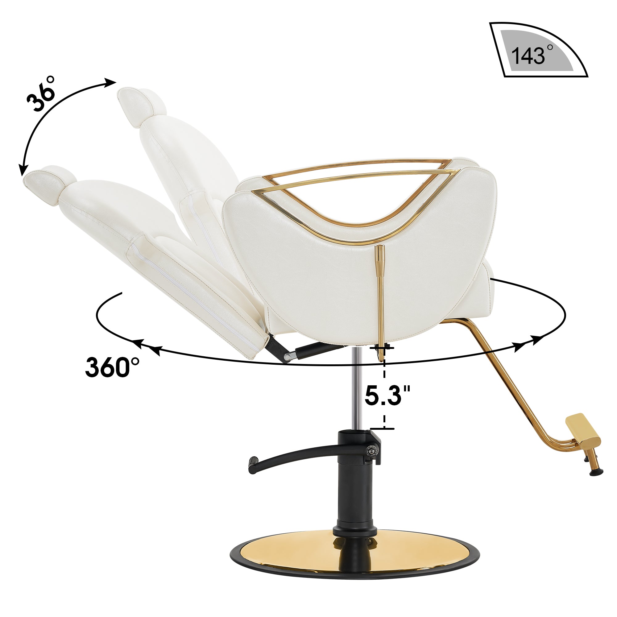 BarberPub Barber Chair for Hair Stylist, All Purpose Reclining Salon Hair Chair 9578