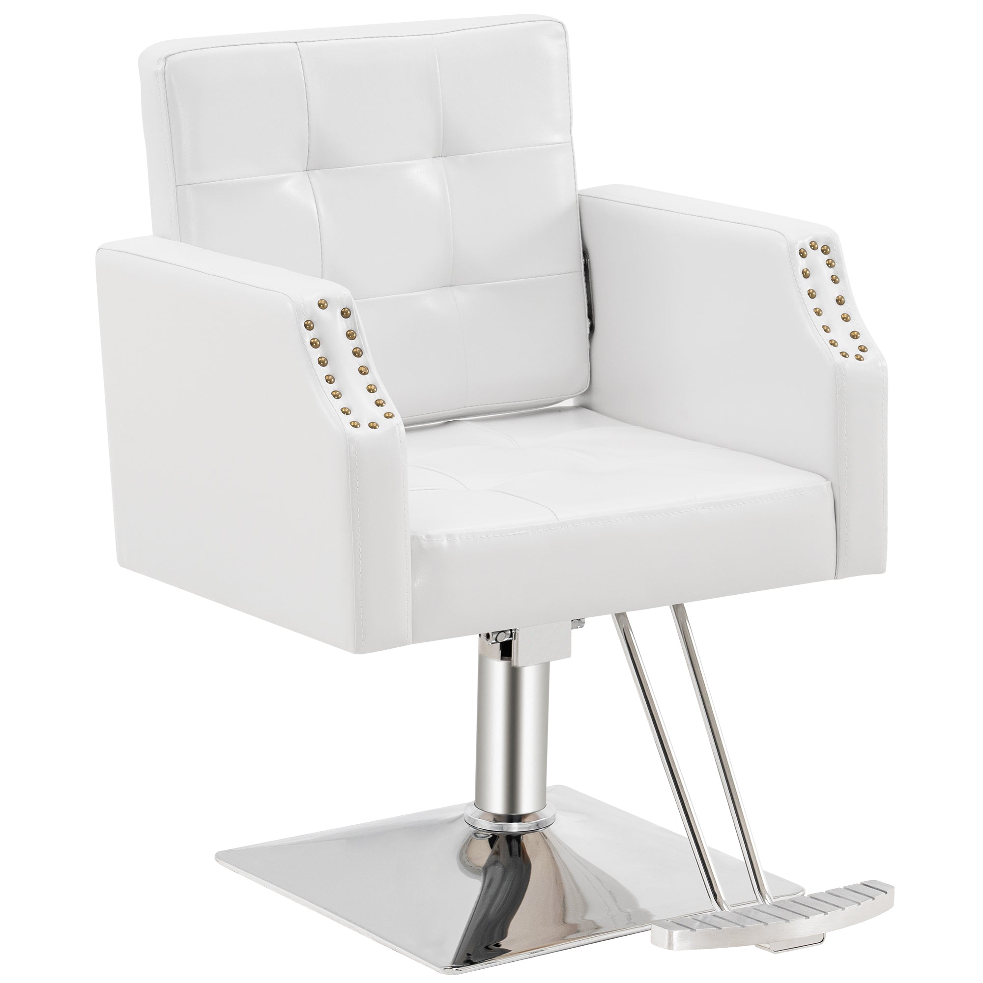 BarberPub Classic Salon Chair for Hair Stylist, Home Salon Spa Equipment 8818