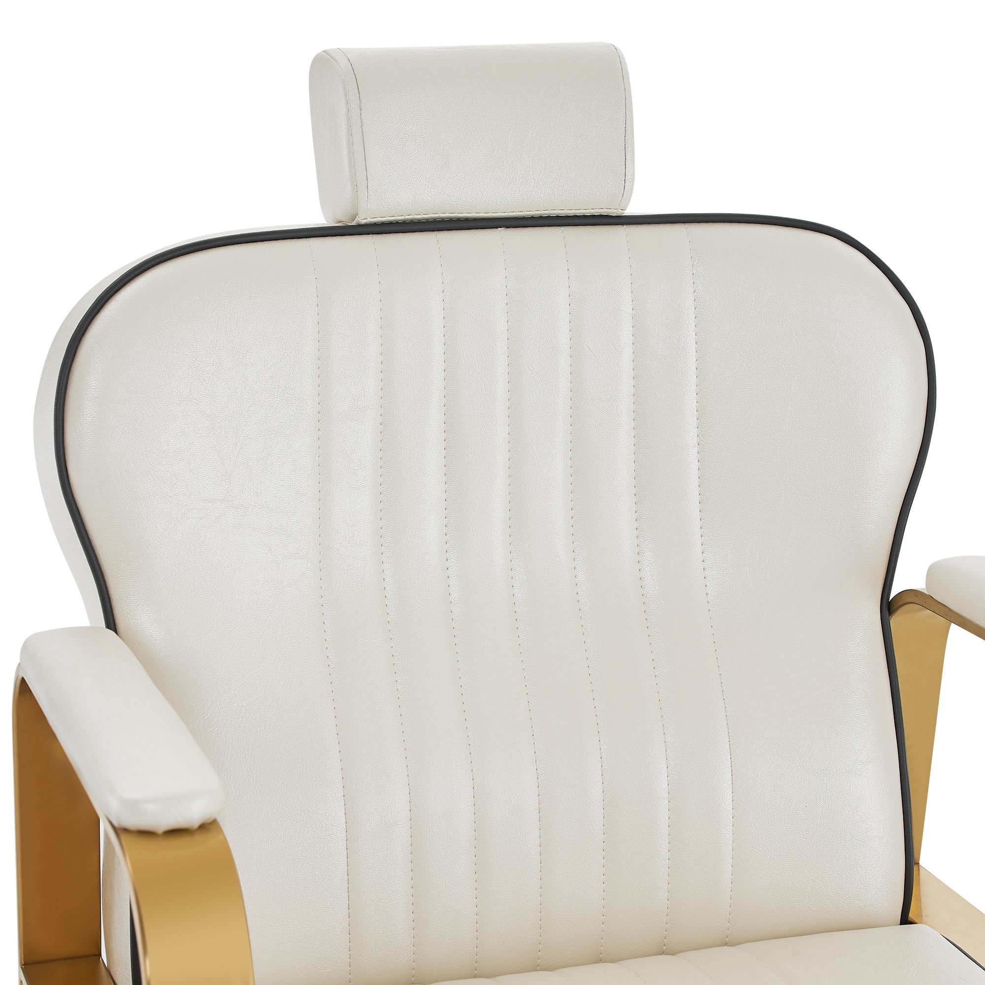 BarberPub All Purpose Reclining Barber Chair, Hair Stylist Salon Chair 9238
