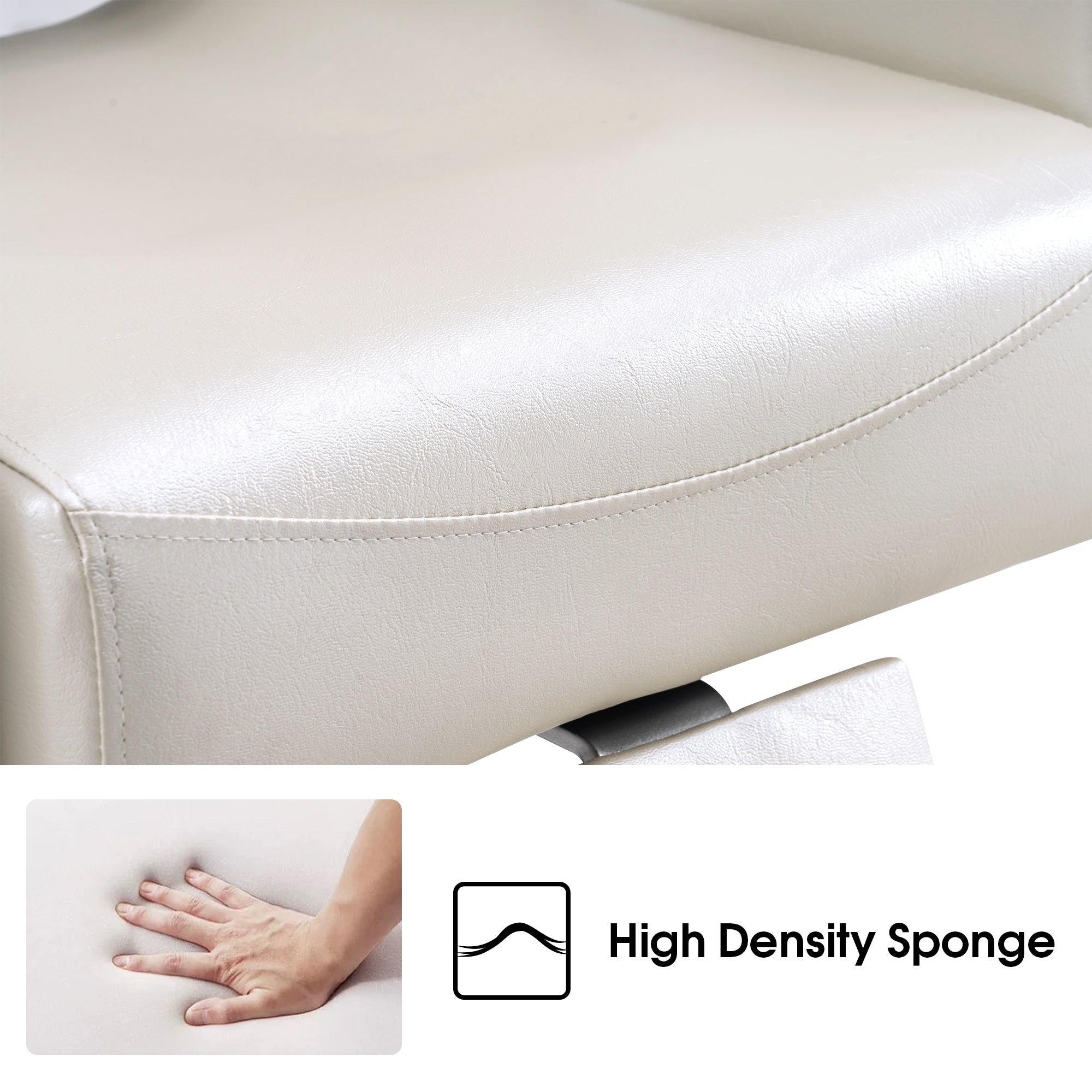 BarberPub Reclining Barber Chair for Hair Stylist, Hair Beauty Spa Salon Chair 8132