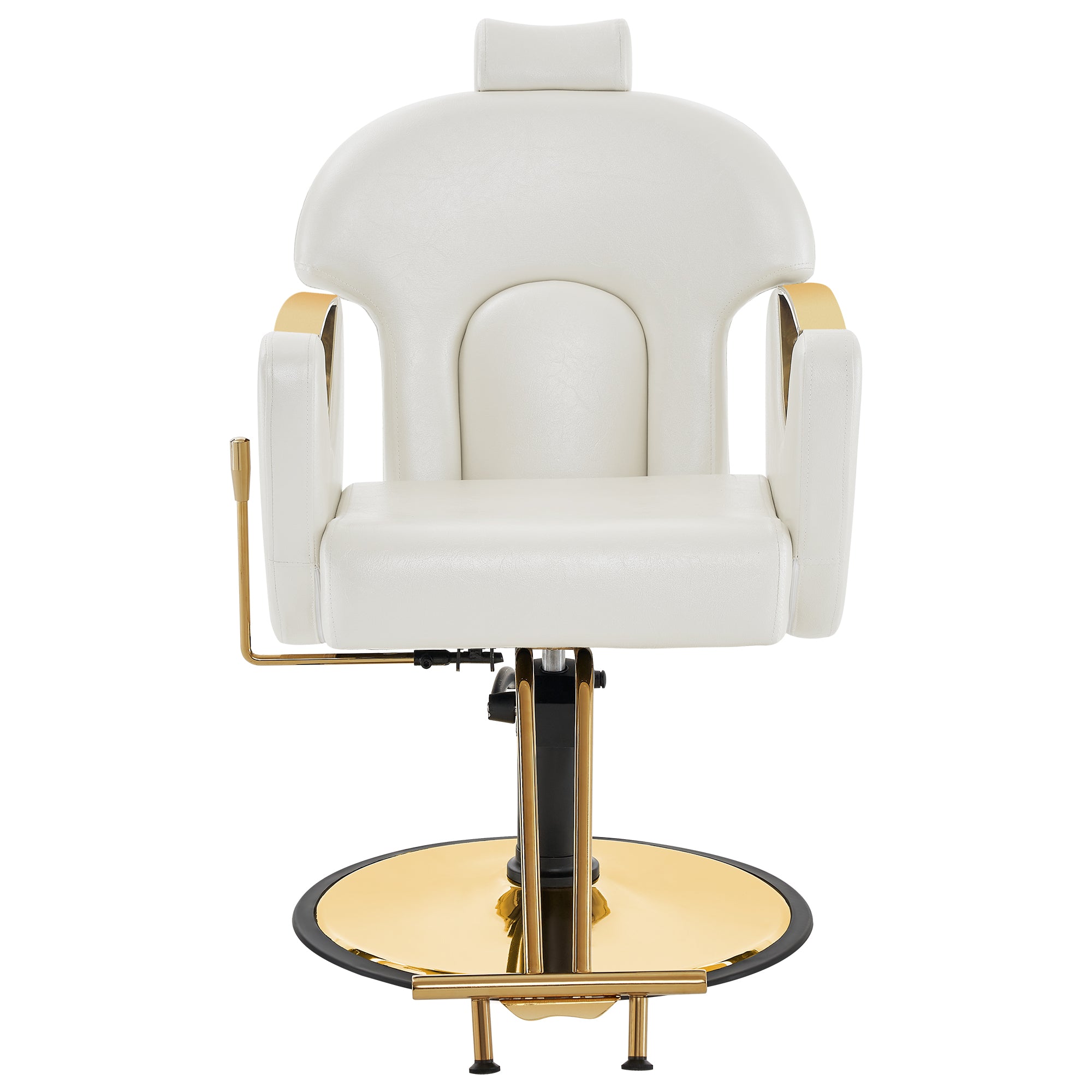 BarberPub Barber Chair for Hair Stylist, All Purpose Reclining Salon Hair Chair 9578