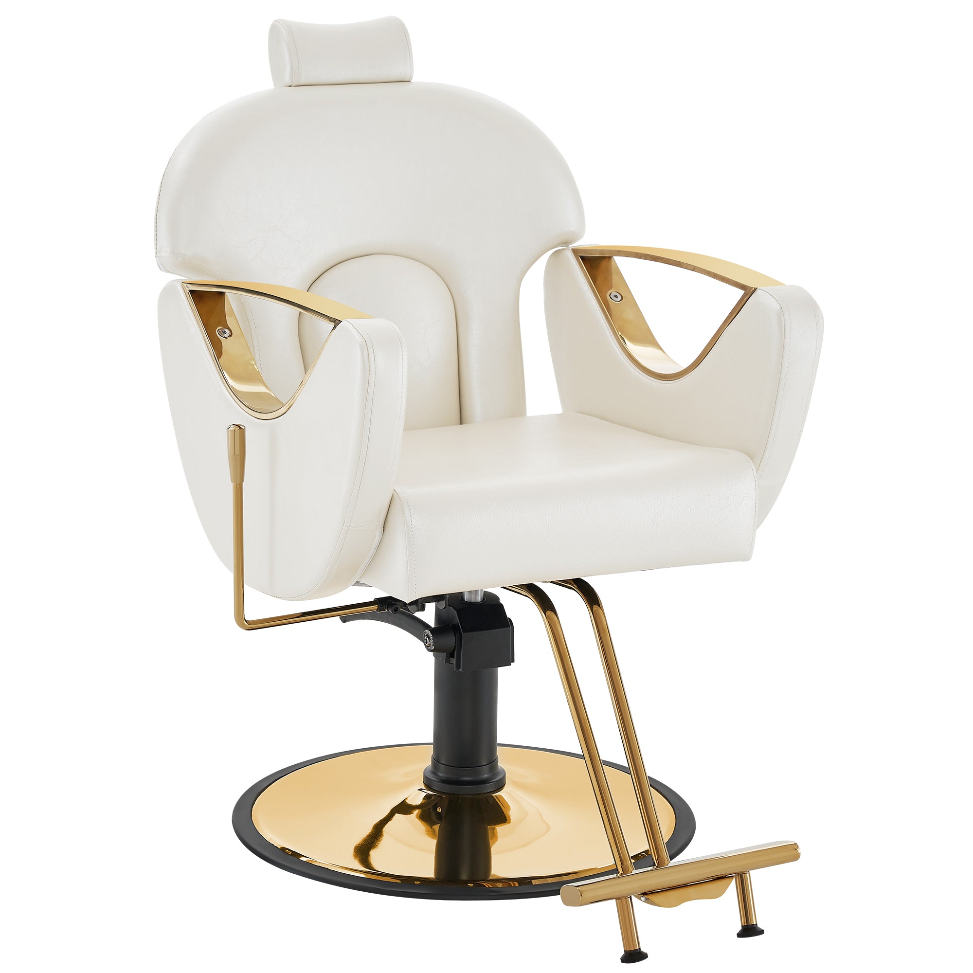 BarberPub Barber Chair for Hair Stylist, All Purpose Reclining Salon Hair Chair 9578