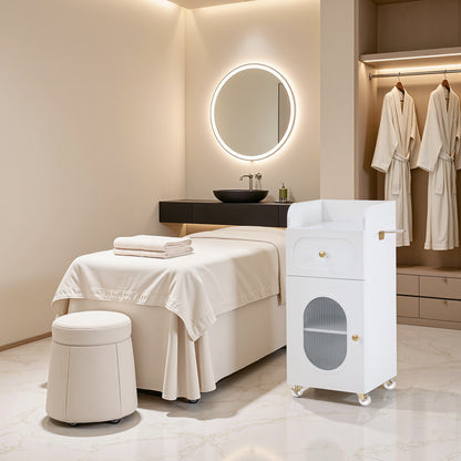 Salon Rolling Trolley Cart with Oval Window, Barber Styling Cart with Premium Paint Finish 2498