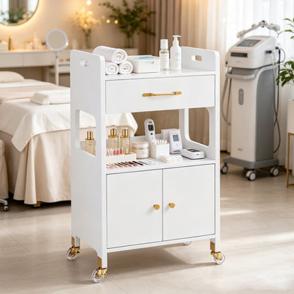 Beauty Salon Rolling Storage Cart, Barber Utility Trolley for Hairdresser, Spa Tools Organizer 2494