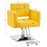 BarberPub Classic Styling Salon Chair for Hair Stylist, with Hydraulic Pump Shampoo Chair Beauty Barber Salon Spa Equipment 3805