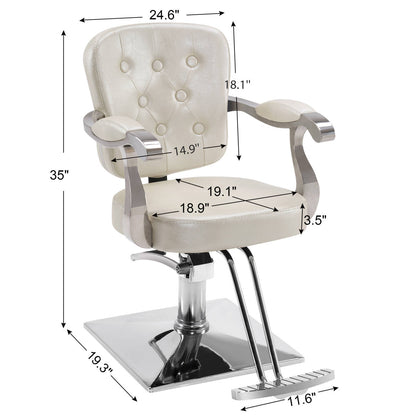 BarberPub Classic Salon Chair, Hydraulic Hair Salon Styling Beauty Equipment 2069