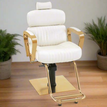 BarberPub Barber Chair with Headrest, Metal Hydraulic Reclining Salon Chair 3078