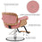 BarberPub Classic Modern Hydraulic Wooden Swivel Salon Chair for Hair Stylist Barber Home Beauty Spa Hair Styling Chair 9262
