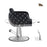 BarberPub Luxurious Salon Chair with 440lbs Hydraulic Pump for Hair Stylist, Fiberglass Material, Spa Beauty Equipment, Home&Beauty Salon, Barbershop, Salon&Spa Chair 8609