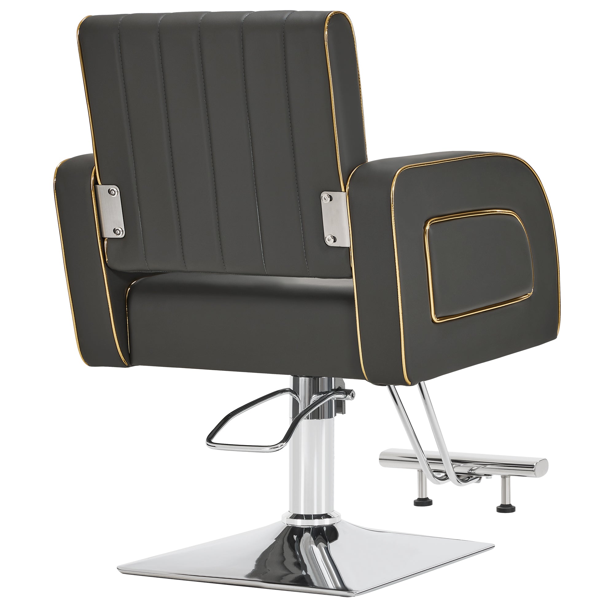 Salon Spa Barber Styling Chair, Classic Hydraulic Model for Pro Salons Use 8885