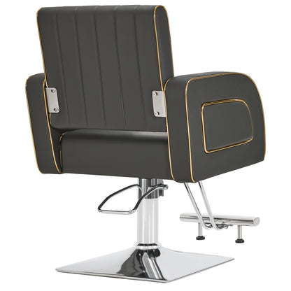 Salon Spa Barber Styling Chair, Classic Hydraulic Model for Pro Salons Use 8885