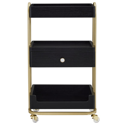 Salon Beauty Cart with Wheels & Drawer, SPA Storage Stylist Trolley with Shelves 2086