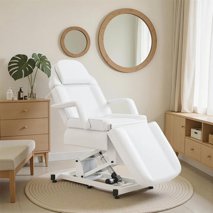 Electric Beauty Bed with 3 Motors, Tattoo Facial Bed for Esthetician , Massage Table for Client N2751