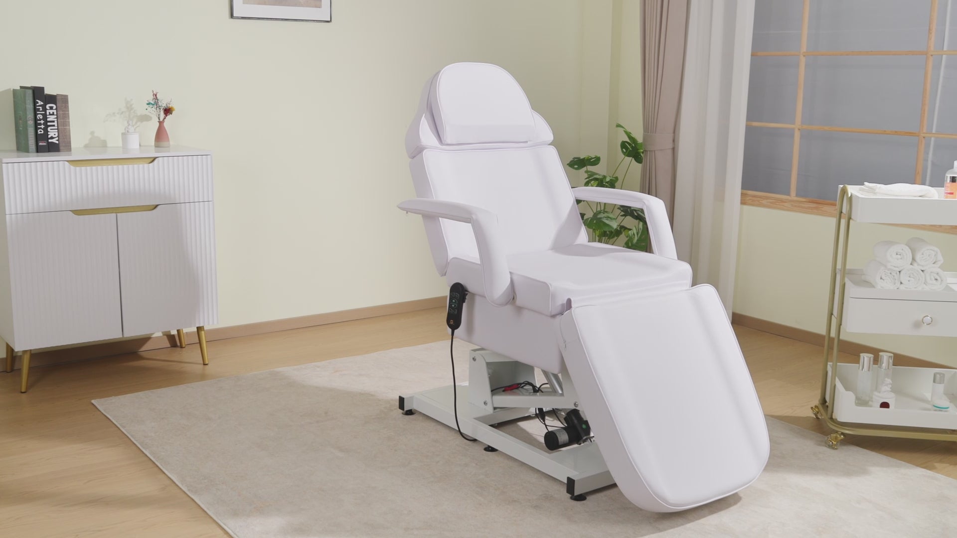 Electric Beauty Bed with 3 Motors, Tattoo Facial Bed for Esthetician , Massage Table for Client 2751