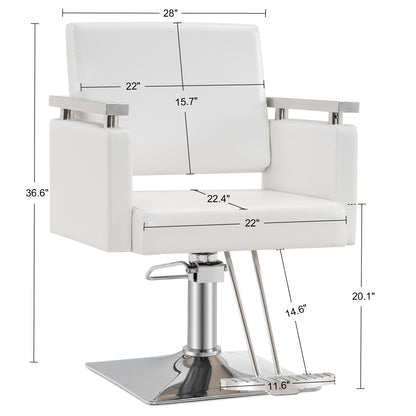 BarberPub Salon Chair, Styling Chair for Hair Stylist, Home Salon SPA Equipment 8808