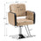 BarberPub Salon Chair for Hair Stylist, All Purpose Hydraulic Barber Styling Chair, Beauty Spa Equipment 8814