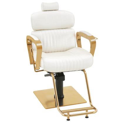 BarberPub Barber Chair with Headrest, Metal Hydraulic Reclining Salon Chair 3078