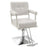 BarberPub Classic Styling Salon Chair for Hair Stylist Hydraulic Pump Swivel Barber Chair, Beauty Shampoo Salon Spa Equipment 8816