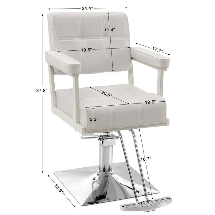 BarberPub Classic Styling Salon Chair for Hair Stylist Hydraulic Pump Swivel Barber Chair, Beauty Shampoo Salon Spa Equipment 8816