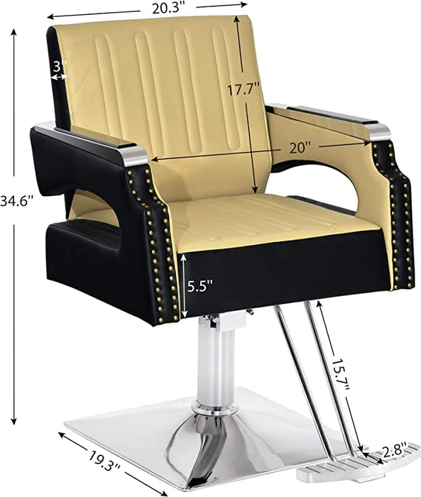 BarberPub Salon Chair For Hair Stylist, All Purpose Classic Hydraulic Barber Styling Chair, Beauty Spa Equipment 8817C (6" Seat Height Adjustment)