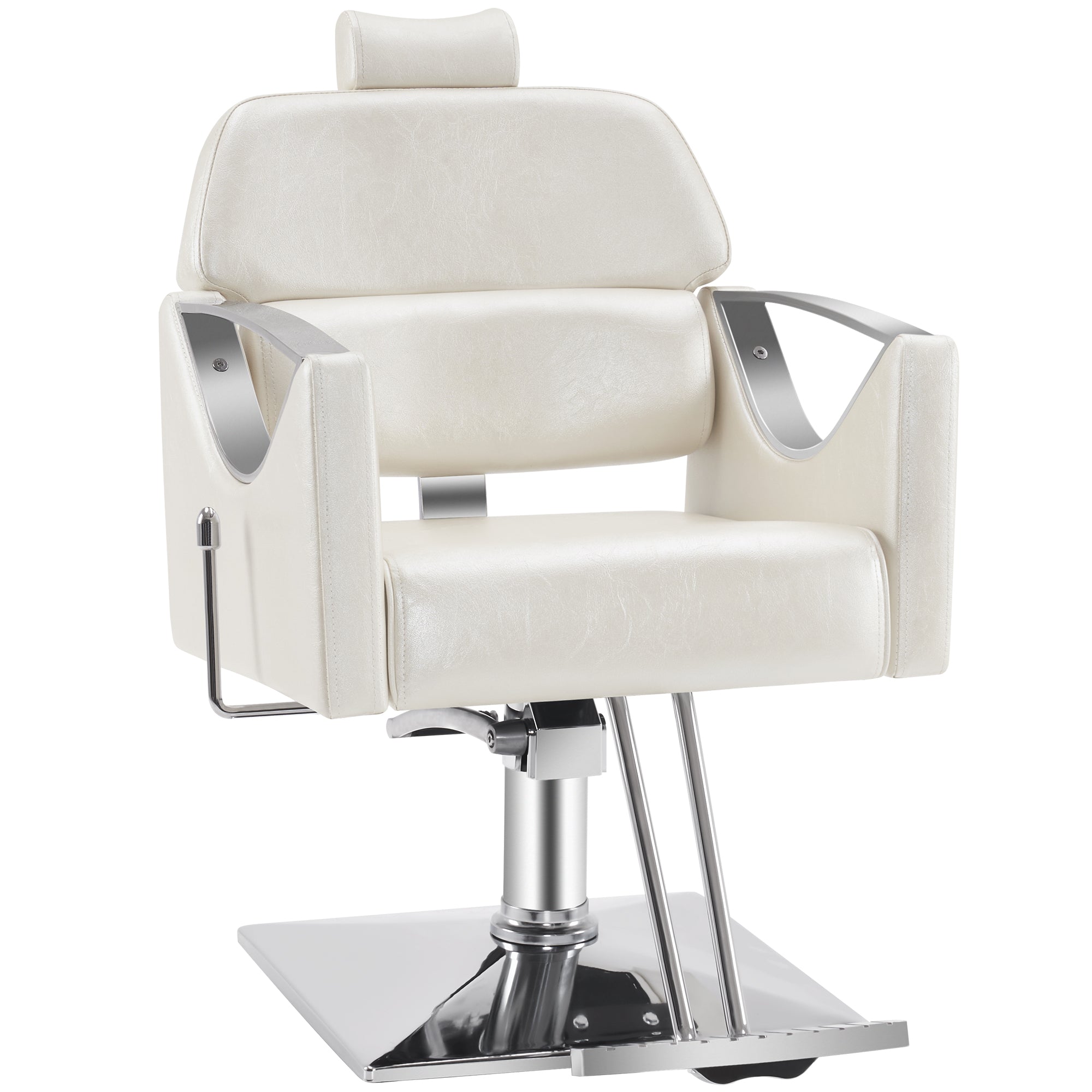 BarberPub Reclining Styling Barber Chairs for Salon,Hair Spa Salon Equipment 3126