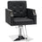 BarberPub Classic Salon Chair for Hair Stylist,Hydraulic Barber Styling Chair,Beauty Salon Spa Equipment 8818