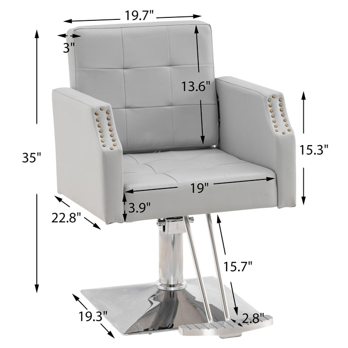 BarberPub Classic Salon Chair for Hair Stylist,Hydraulic Barber Styling Chair,Beauty Salon Spa Equipment 8818