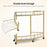 BarberPub Salon Trolley with Double Shelves Metal Frame Utility Cart with Wheels Beauty Organizer Spa Equipment 2049