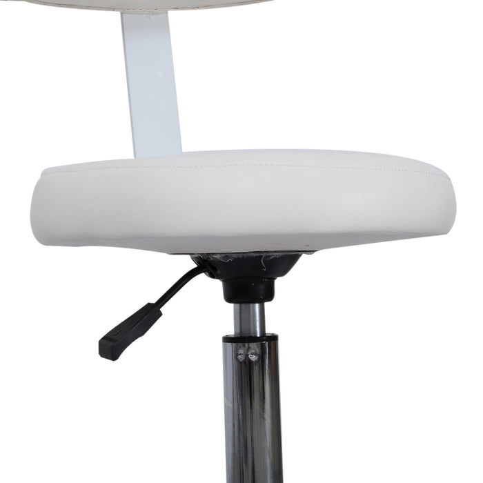 BarberPub Adjustable Hydraulic Rolling Swivel Salon Stool Chair Tattoo Massage Facial Spa Stool Chair With Backrest and Wheels 6005