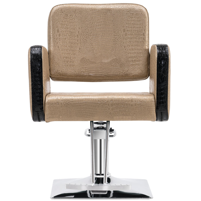 BarberPub Salon Chair for Hair Stylist, All Purpose Hydraulic Barber Styling Chair, Beauty Spa Equipment 8814