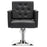 BarberPub Salon Chair for Hair Stylist,Classic Hydraulic Barber Styling Chair,Beauty Spa Salon Equipment 8811